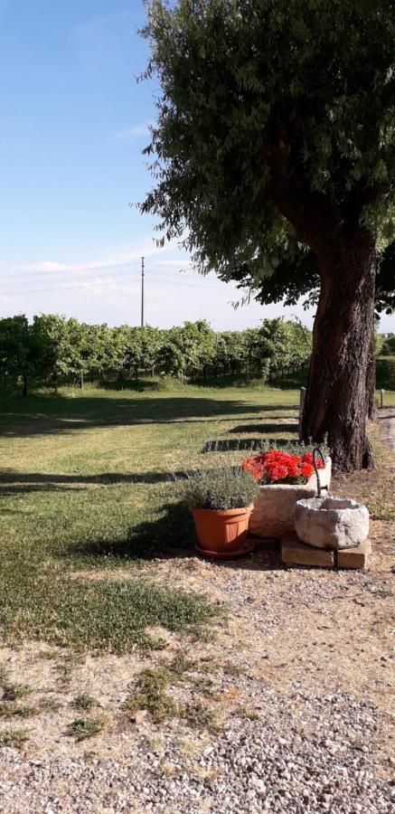 Agriturismo Vitae Fabbrico Εξωτερικό φωτογραφία