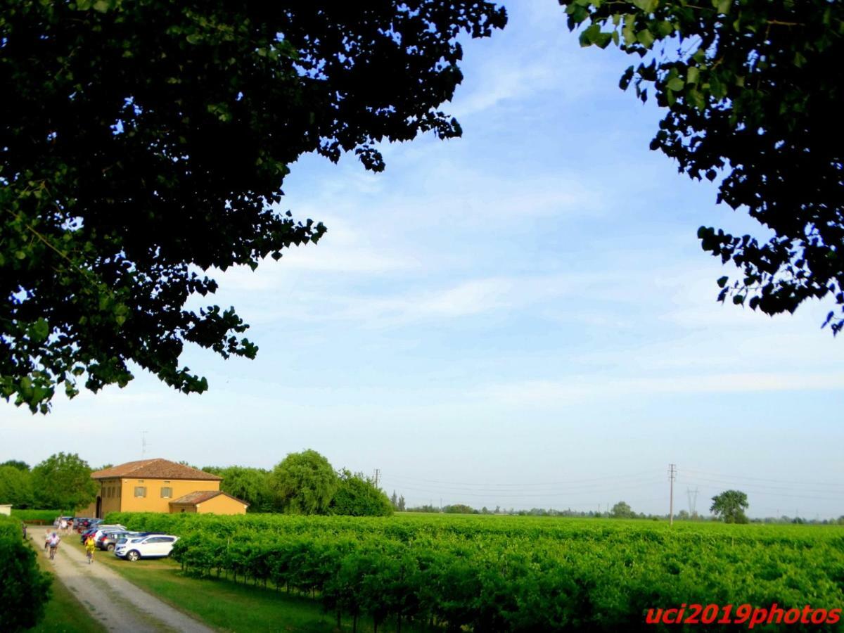 Agriturismo Vitae Fabbrico Εξωτερικό φωτογραφία